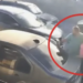 Circula un VIDEO en el que se muestra el asesinato de un ex policía de San Pedro mientras charlaba con su esposa